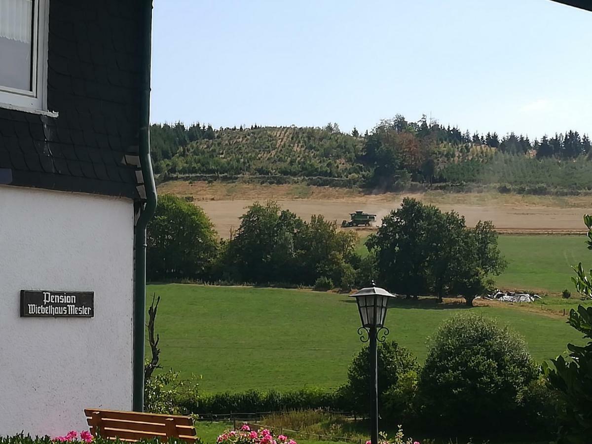 Bauernhofpension Wiebelhaus-Mester レンネシュタット エクステリア 写真